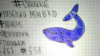 una nena de la plata fue internada luego de jugar a la ballena azul una nena de la plata fue internada luego de jugar a la ballena azul