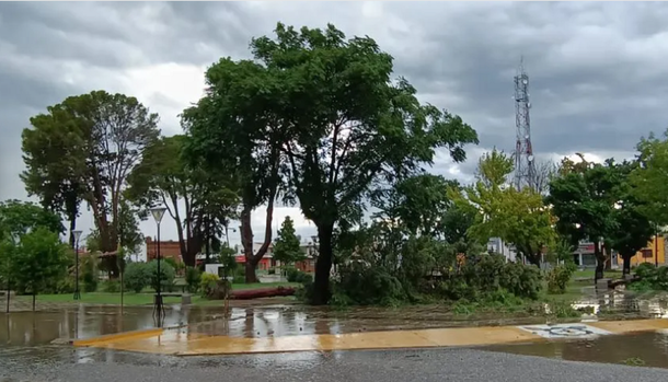 Fuertísimo temporal causó estragos en San Luis: inundaciones, árboles caídos y granizo
