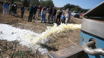la rural repudia el derramamiento de leche como metodo de protesta: es una tragedia la rural repudia el derramamiento de leche como metodo de protesta: es una tragedia