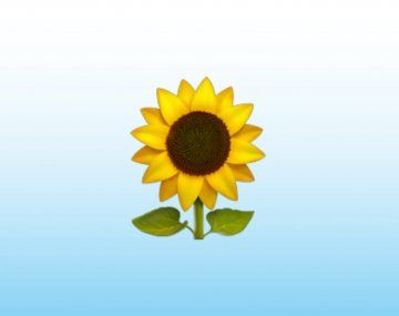 Qué significa el emoji del girasol en WhatsApp