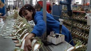 calzado nacional: suben exportaciones y caen las importaciones calzado nacional: suben exportaciones y caen las importaciones