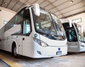 Empresa de turismo pagó una millonaria multa por atropellar a un yaguareté