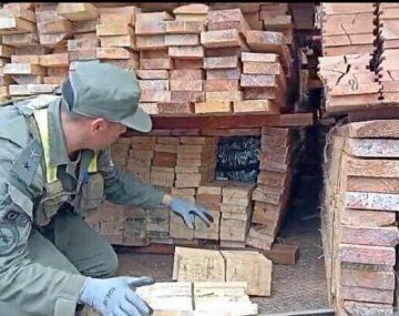 Una perra de Gendarmería detectó seis toneladas de marihuana en una carga de madera