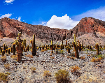 El destino turístico internacional con montañas de múltiples colores