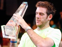 juan martin del potro logro en viena su tercer titulo del ano juan martin del potro logro en viena su tercer titulo del ano