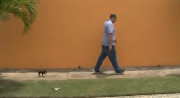 VIDEO: Puerto Rico tiene a Milly, la perra más chica del mundo