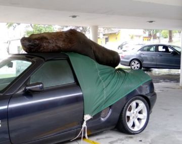 Foto: Montevideo Portal