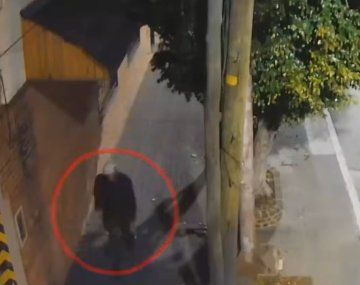 Identifican y detienen al agresor del colectivero de la línea 126