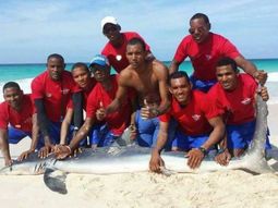 como el delfin de santa teresita: sacaron un tiburon para sacarse selfies como el delfin de santa teresita: sacaron un tiburon para sacarse selfies