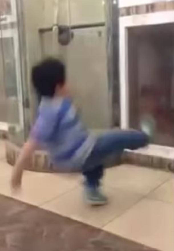 Como un Jedi: Un perro ataca a un niño sin siquiera tocarlo