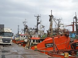 La pesca enfrenta un “mazazo” por el precio del gasoil marino, con subas del 83%. La pesca enfrenta un “mazazo” por el precio del gasoil marino, con subas del 83%.