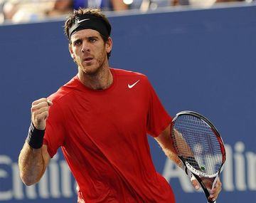 Del Potro retiró a Roddick y se metió en cuartos de final