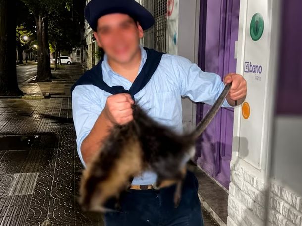 Dos jóvenes de 18 años que le pegaban patadas a una nutriahasta matarla. Dos jóvenes de 18 años que le pegaban patadas a una nutriahasta matarla.