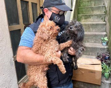 Rescatan 14 perros en una casa de Parque Chas
