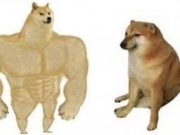 Murió Balltze, el perro del meme Cheems