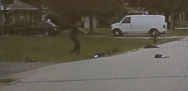 Brutal ataque pitbull