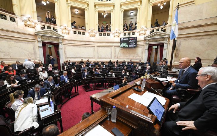 Foto: X @SenadoArgentina Foto: X @SenadoArgentina