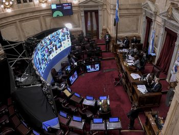 Tras su aprobación en Diputados, el Senado debate hoy el Impuesto a la Riqueza