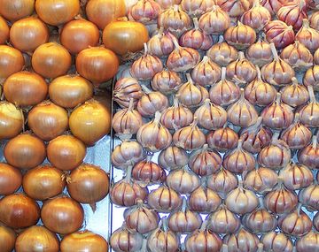 Ajos y cebollas