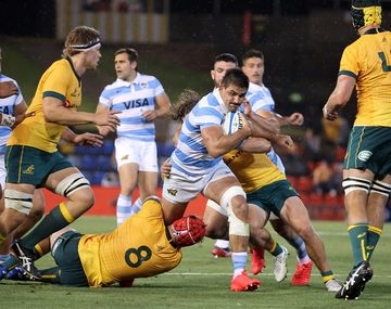 Los Pumas empataron con los Wallabies tras el histórico triunfo ante los All Blacks