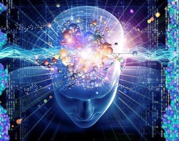 Científicos encuentran la zona del cerebro donde se aloja la conciencia