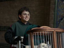 lanzaron el primer trailer de la serie de harry potter y crece la expectativa por su estreno lanzaron el primer trailer de la serie de harry potter y crece la expectativa por su estreno