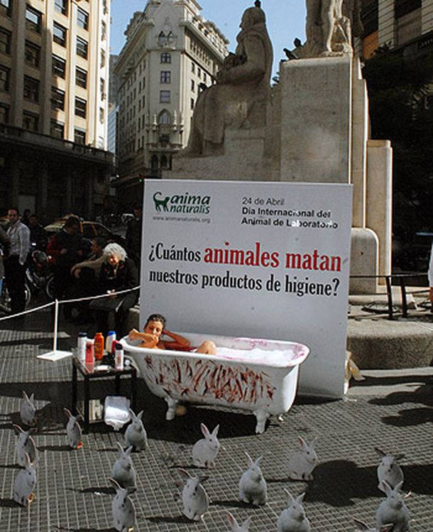 protesta por los animales