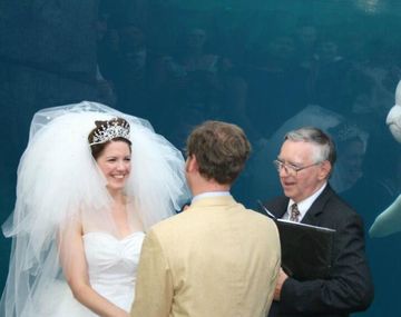 La escena de la beluga casamentera se volvió viral