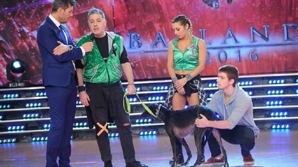 La reacción de Tinelli ante la renuncia de Doman al Bailando