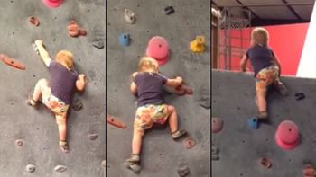 video: el increible bebe escalador video: el increible bebe escalador