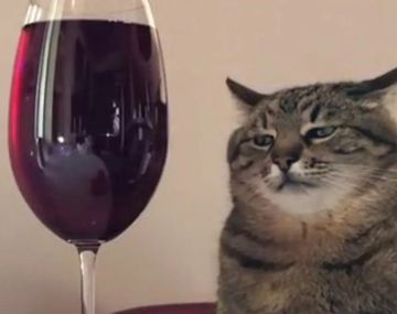 La peor cita de tu vida