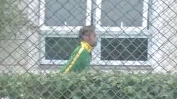 luego del golpe que lo dejo afuera del mundial, neymar ya camina luego del golpe que lo dejo afuera del mundial, neymar ya camina