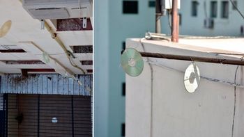 el curioso metodo que utilizan en un edificio para espantar a las palomas