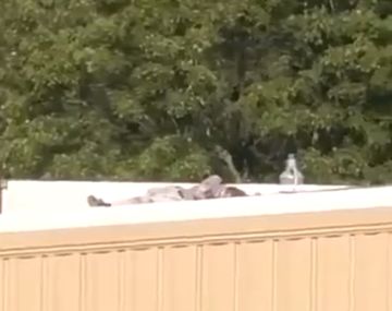 Atentado a Donald Trump: el francotirador que disparó en Pensilvania fue abatido