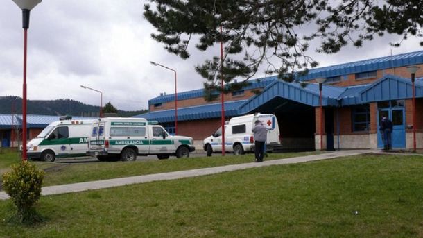 Un pitbull le mordió la cara a un bebé en Junín de los Andes