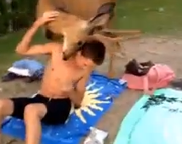 Extraño encuentro entre un adolescente y un ciervo