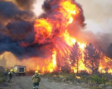 Gobierno analiza incorporar a las sesiones extraordinarias la Ley de Emergencia Ígnea