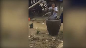 video: hierven un perro vivo en china para vender su carne video: hierven un perro vivo en china para vender su carne