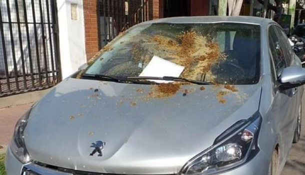 Relatos Salvajes: cansado de que estacionen frente a su garaje, vecino tomó una medida drástica