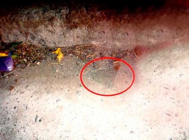 Crédito: La Voz de Tandil