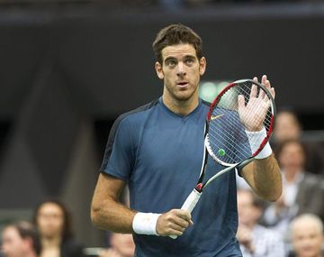Del Potro ganó y está en la final de Rotterdam
