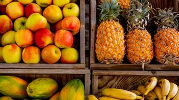 como eliminar todas las bacterias de las frutas antes de comerlas con este metodo casero como eliminar todas las bacterias de las frutas antes de comerlas con este metodo casero