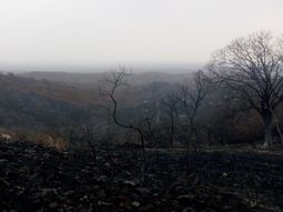 Las lluvias ayudaron a combatir los incendios en C&oacute;rdoba. Foto&nbsp;@Geografia_Afic