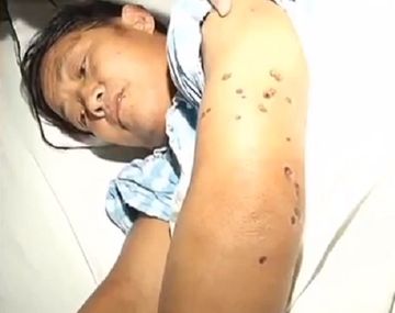 Alerta por la aparición de abejas gigantes asesinas