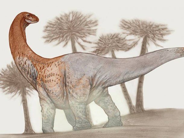Río Negro: descubrieron un dinosaurio de 90 millones de años de antigüedad