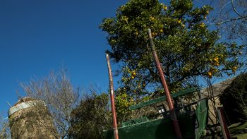 Un paseo por el molino Forclaz Un paseo por el molino Forclaz