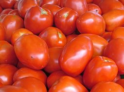 Tomates web Tomates web