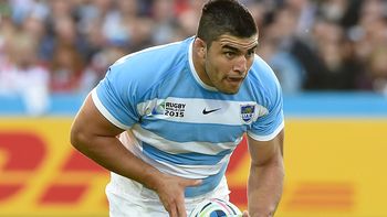 la victoria de los pumas ante georgia, en imagenes la victoria de los pumas ante georgia, en imagenes