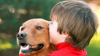 ¿queres cuidar a tu mascota? lanzaron un seguro para perros y gatos ¿queres cuidar a tu mascota? lanzaron un seguro para perros y gatos