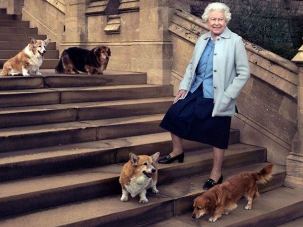 Los perros corgi de la reina Isabel II ya tienen nuevo dueño